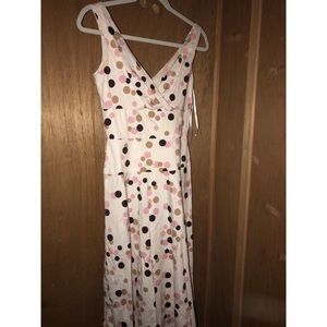 Beautiful Max and Cleo Tea Length polka Dot Dress